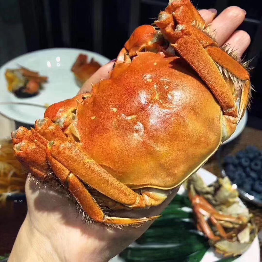 大闸蟹